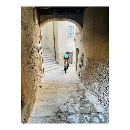 Casa Curiè